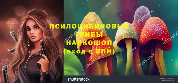 метадон Аркадак